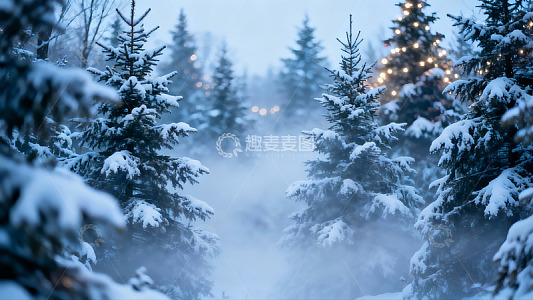 雪覆松林雾气弥漫圣诞氛围