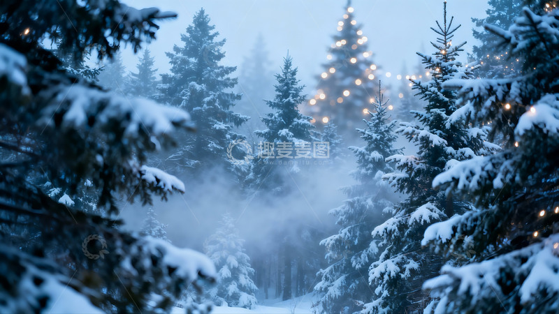 高清大图下载【趣麦麦图】雪夜松林灯火闪烁