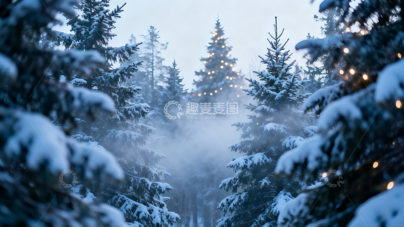 高清大图下载【趣麦麦图】雪夜松林灯光闪烁