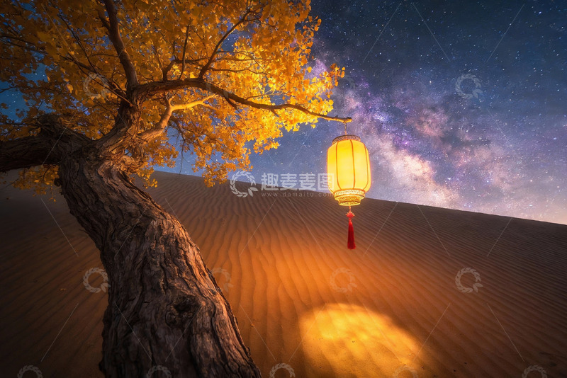 高清大图下载【趣麦麦图】沙漠夜空树灯奇景