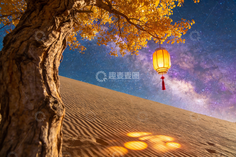 高清大图下载【趣麦麦图】沙漠夜空树灯奇景