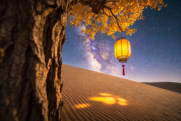 沙漠夜空树灯奇景