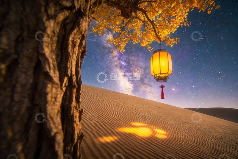 高清大图下载【趣麦麦图】-沙漠夜空树灯奇景