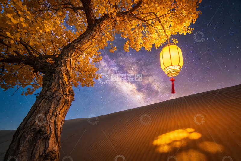 高清大图下载【趣麦麦图】沙漠夜空树影灯笼奇景