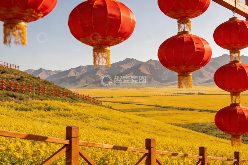 高清大图下载【趣麦麦图】红灯笼映衬金黄花海