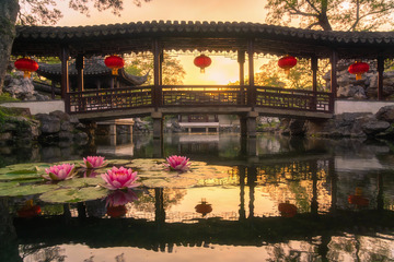 古典园林夕阳荷塘美景