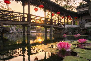 古典园林夕阳荷塘美景
