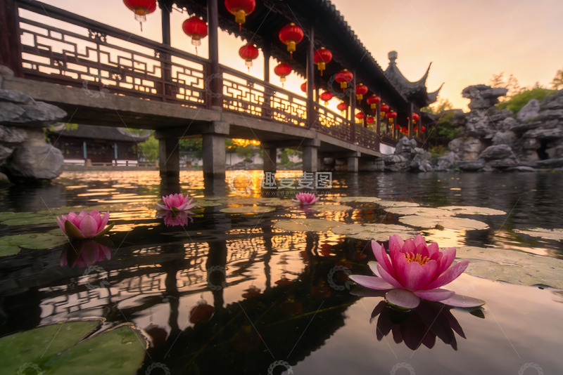 高清大图下载【趣麦麦图】古桥红灯映荷塘