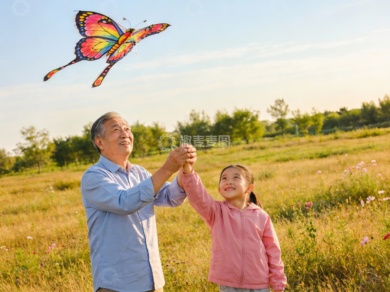 高清大图下载【趣麦麦图】爷孙放飞蝴蝶风筝其乐融融