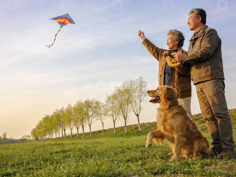 高清大图下载【趣麦麦图】老夫妻放风筝狗狗陪伴户外欢乐