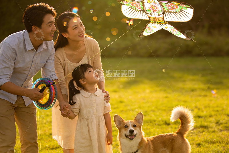 高清大图下载【趣麦麦图】一家三口户外放风筝与宠物狗