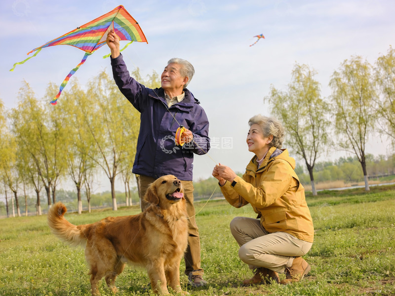 高清大图下载【趣麦麦图】老夫妻户外放风筝与宠物狗相伴