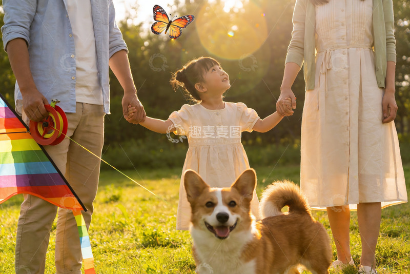 高清大图下载【趣麦麦图】家庭户外放风筝与宠物狗