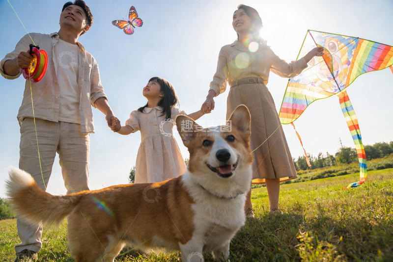 高清大图下载【趣麦麦图】家庭户外放风筝与宠物狗