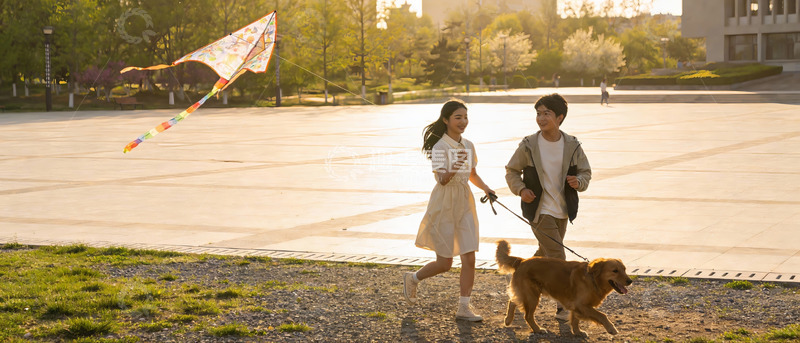 高清大图下载【趣麦麦图】情侣公园放风筝遛狗