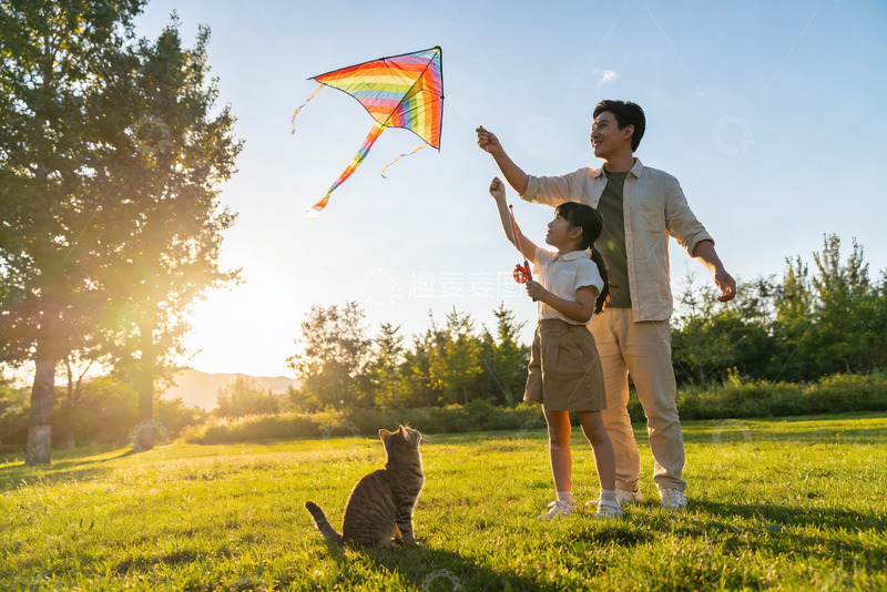 高清大图下载【趣麦麦图】父女放风筝猫咪旁观