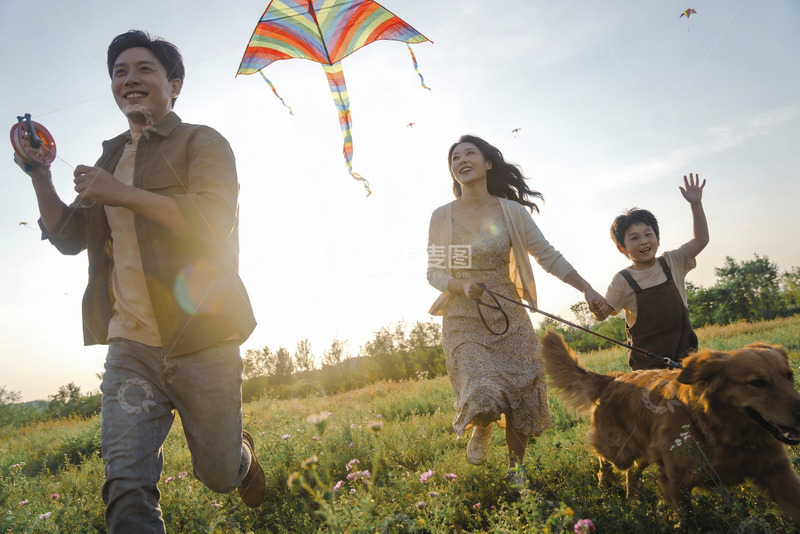 高清大图下载【趣麦麦图】一家三口户外放风筝