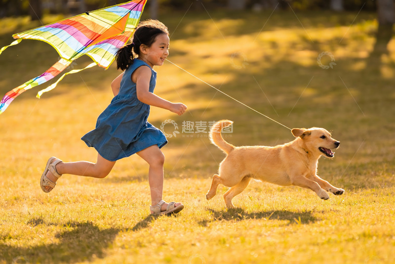 高清大图下载【趣麦麦图】-小女孩与小狗草地上放风筝