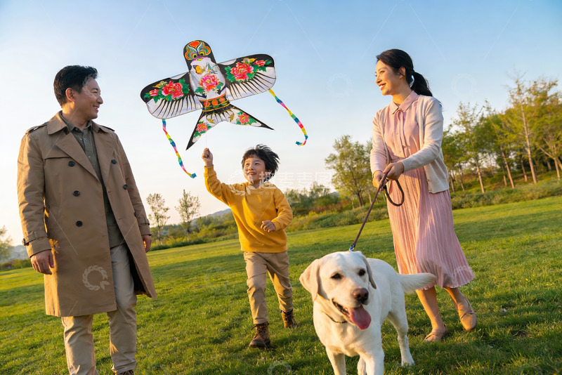 高清大图下载【趣麦麦图】家庭户外放风筝与遛狗