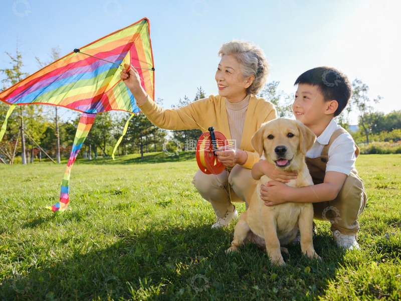 高清大图下载【趣麦麦图】祖孙放风筝与宠物狗同框