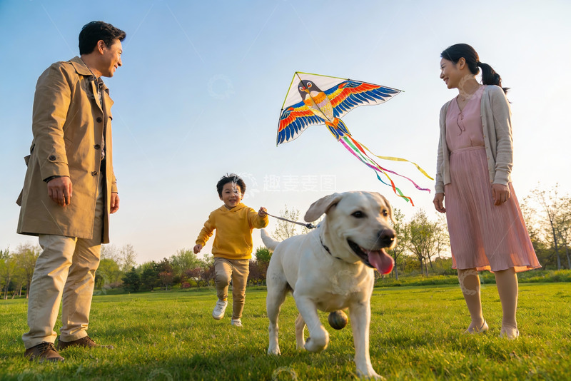 高清大图下载【趣麦麦图】家庭草地上放风筝与宠物狗