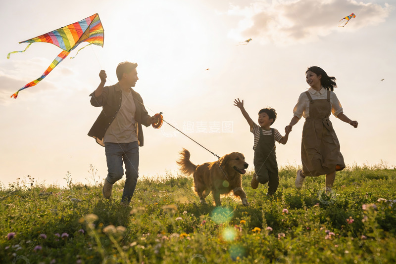 高清大图下载【趣麦麦图】一家三口户外放风筝