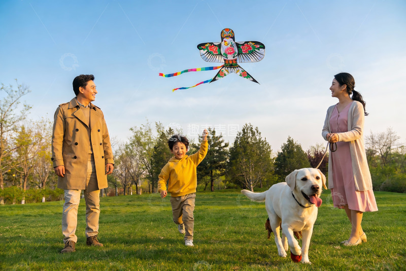 高清大图下载【趣麦麦图】家庭户外放风筝与宠物狗