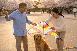公园放风筝的老人与狗