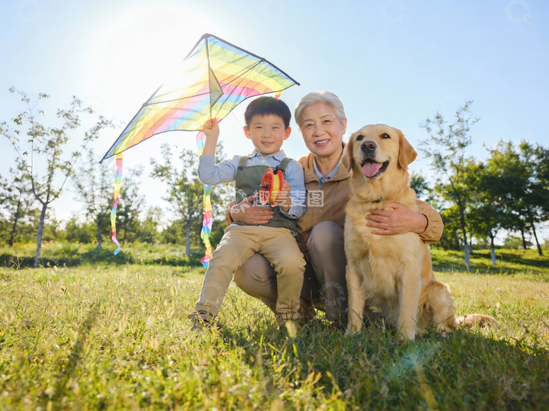 高清大图下载【趣麦麦图】祖孙放风筝与狗狗同乐