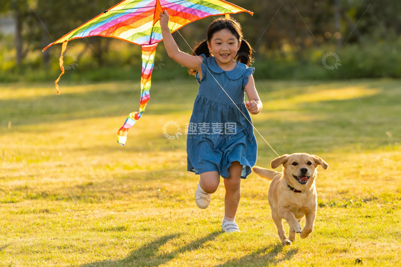 高清大图下载【趣麦麦图】小女孩草地放风筝 狗相伴