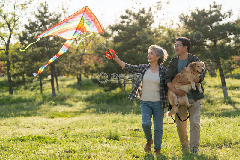 高清大图下载【趣麦麦图】公园放风筝遛狗欢乐时光