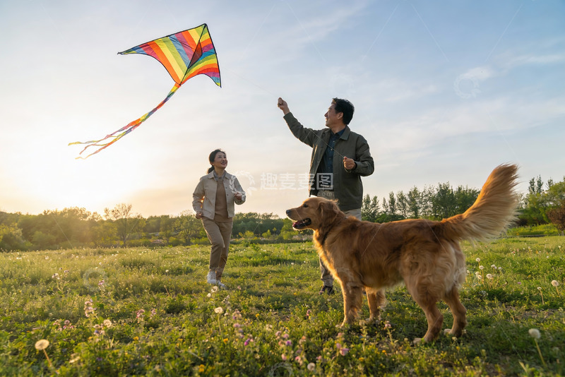 高清大图下载【趣麦麦图】情侣草地放风筝狗狗相伴