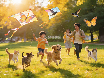 阳光下放风筝的欢乐家庭