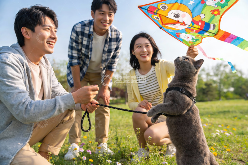 高清大图下载【趣麦麦图】三人一猫放风筝欢乐时光