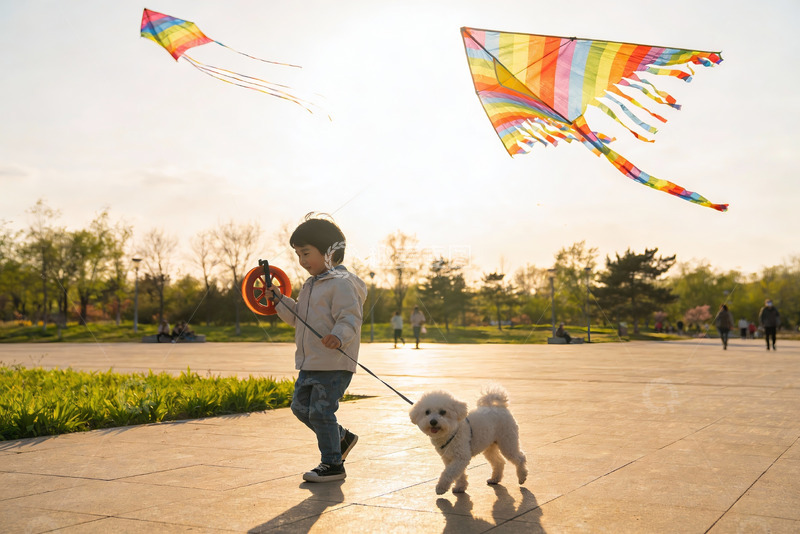 高清大图下载【趣麦麦图】小男孩公园放风筝遛狗