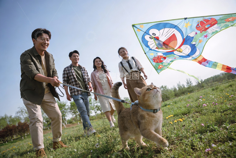 高清大图下载【趣麦麦图】四人一猫放风筝草地欢乐时光