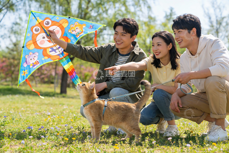 高清大图下载【趣麦麦图】三人一猫放风筝欢乐时光