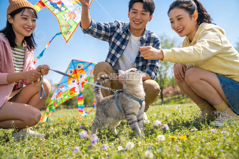高清大图下载【趣麦麦图】三青年户外放风筝与猫咪互动