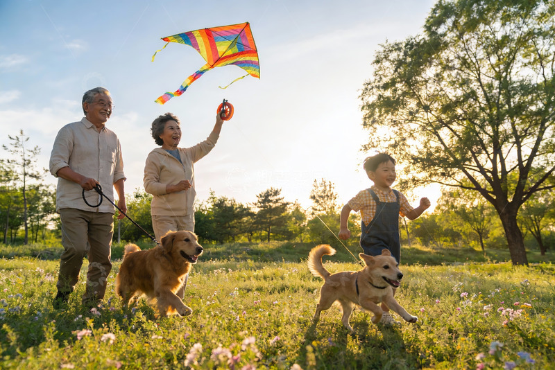 高清大图下载【趣麦麦图】三代同堂户外放风筝