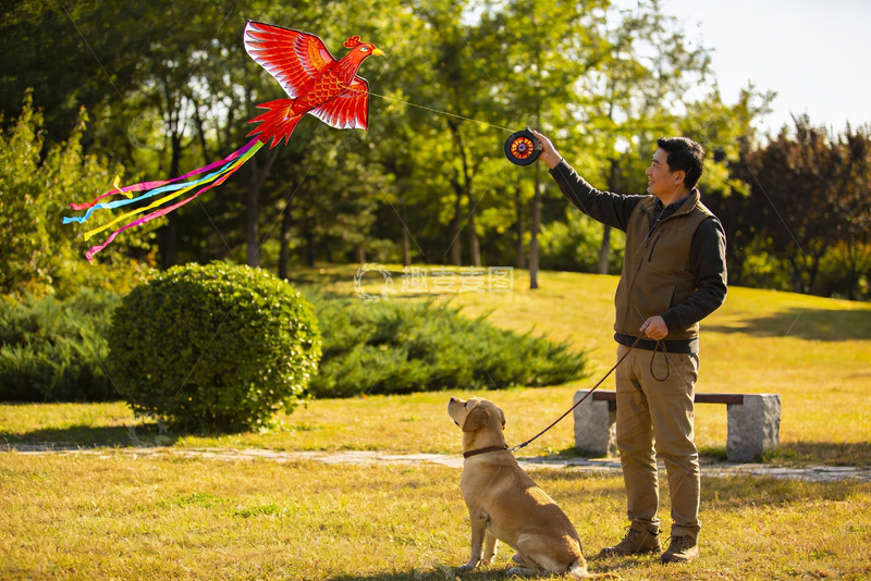 高清大图下载【趣麦麦图】男子公园放飞凤凰风筝与狗相伴