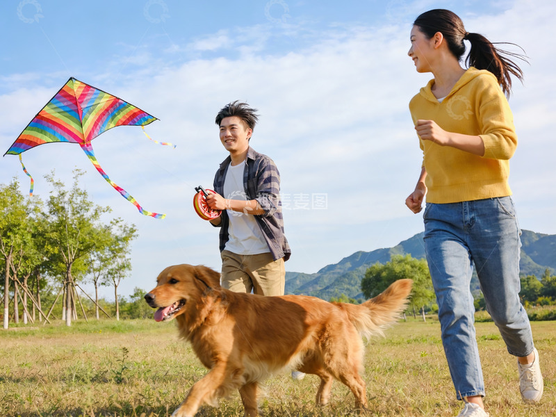 高清大图下载【趣麦麦图】情侣户外放风筝遛狗欢乐场景