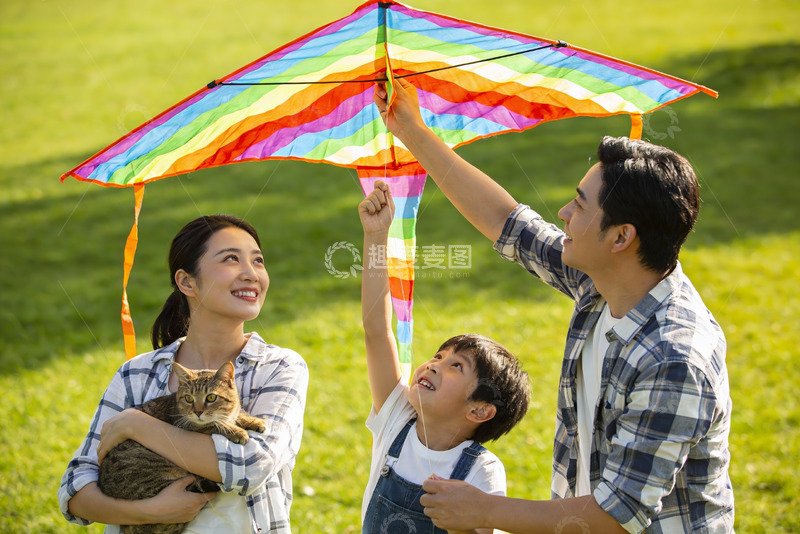 高清大图下载【趣麦麦图】家庭草地上放风筝与宠物