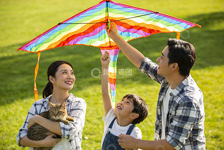 家庭草地上放风筝与宠物