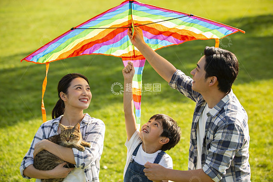 家庭草地上放风筝与宠物