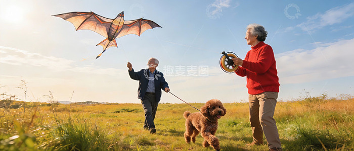 老年夫妇放风筝遛狗