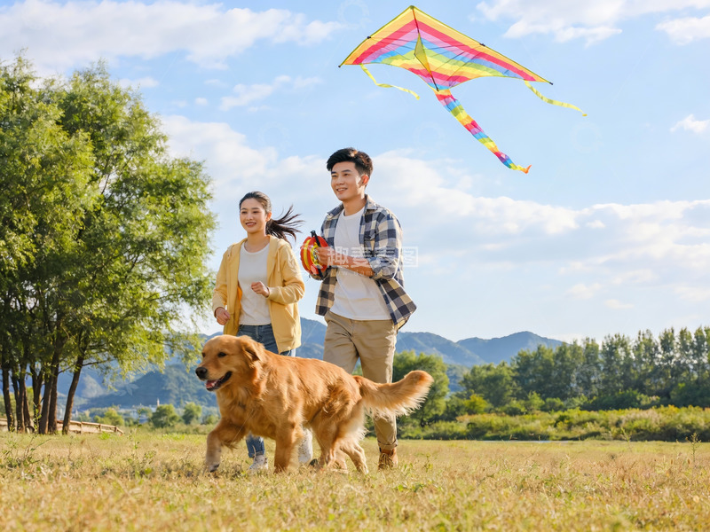 高清大图下载【趣麦麦图】情侣草地放风筝遛狗