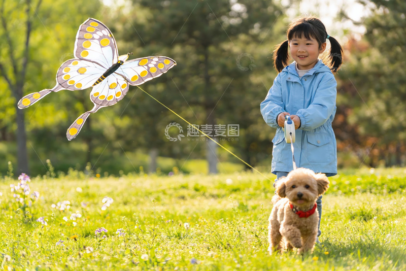 高清大图下载【趣麦麦图】小女孩草地上放风筝遛狗