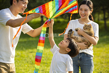家庭户外放风筝与宠物猫