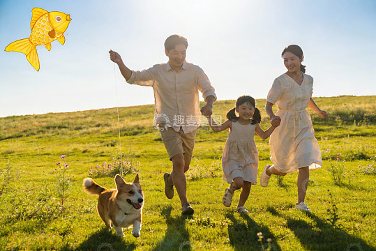 一家三口户外放风筝与宠物狗