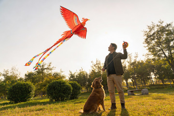 男子与金毛犬放飞凤凰风筝